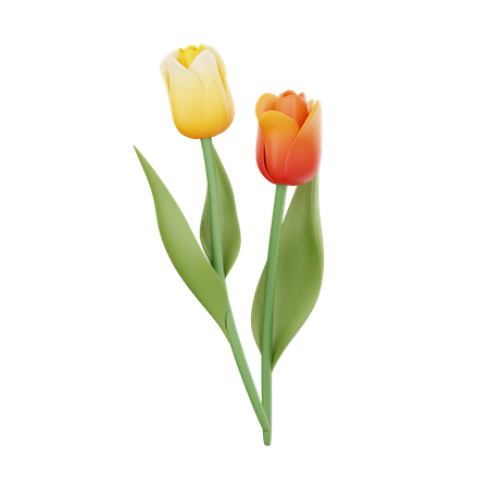 Tulipes  3D Icon