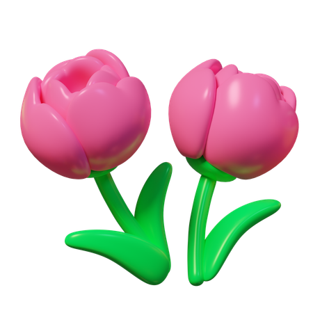 Tulips  3D Icon