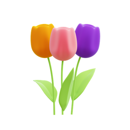 Tulips  3D Icon