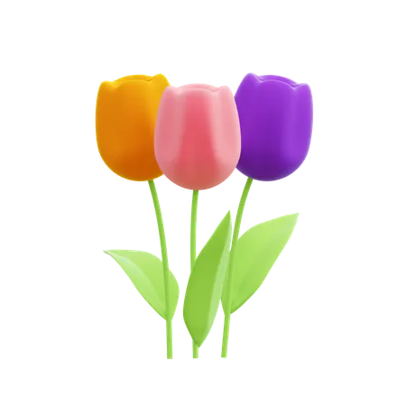 Tulips  3D Icon