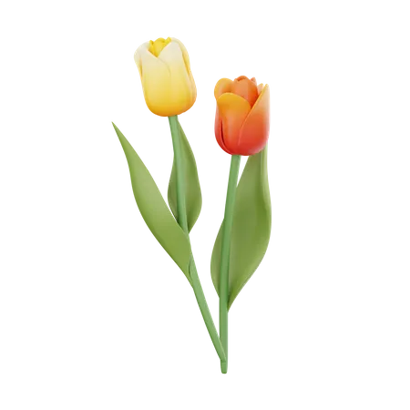 Tulips  3D Icon