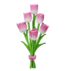 Tulips Bouquet