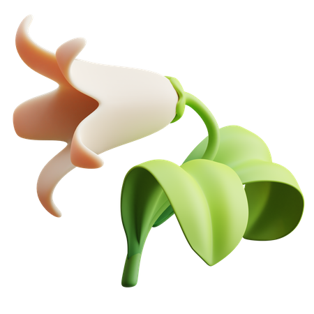 Tulpe  3D Illustration