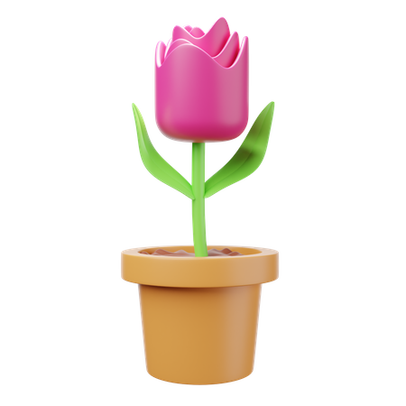 Tulpe  3D Illustration