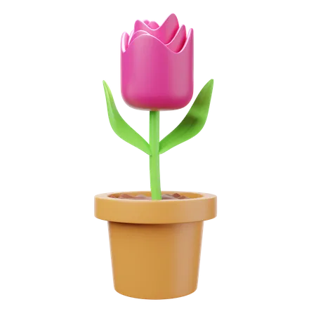 Tulpe  3D Illustration