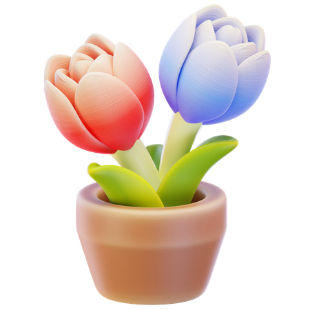 Tulpe Blume  3D Icon