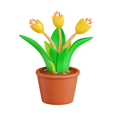 Tulpe Blume  3D Icon