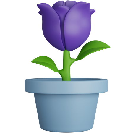 Tulpentopf  3D Icon