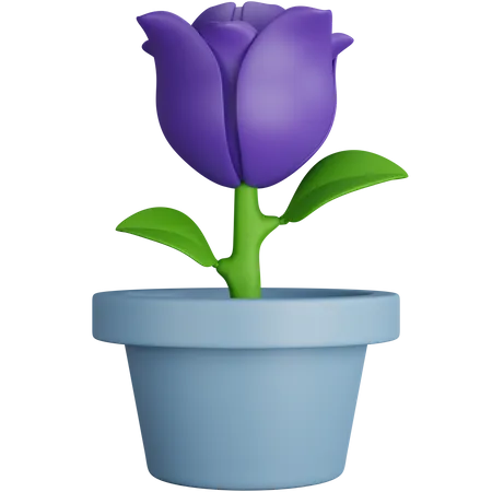 Tulpentopf  3D Icon