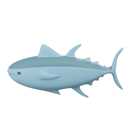Tuna Fish  3D Icon