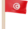 Tunisia Flag