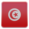 tunisia flag 3d logo