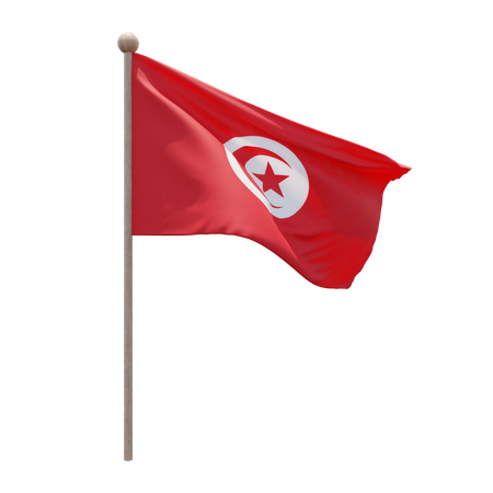 Mastro da Tunísia  3D Flag