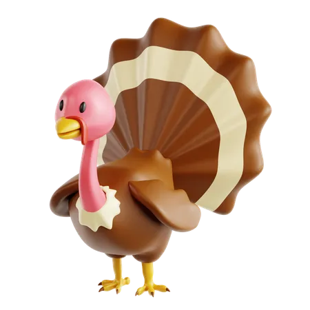 Turkey Bird  3D Icon