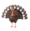 Turkey Bird