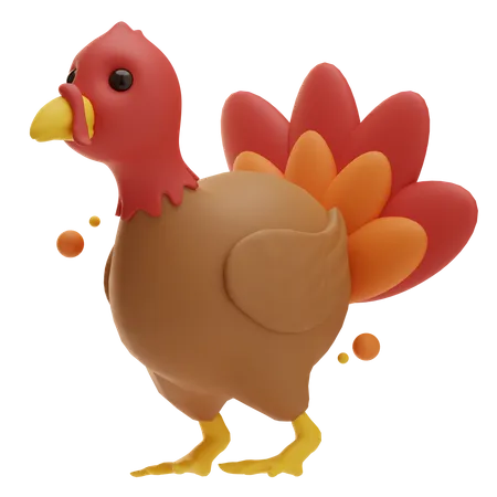 Turkey Bird 3D Icon