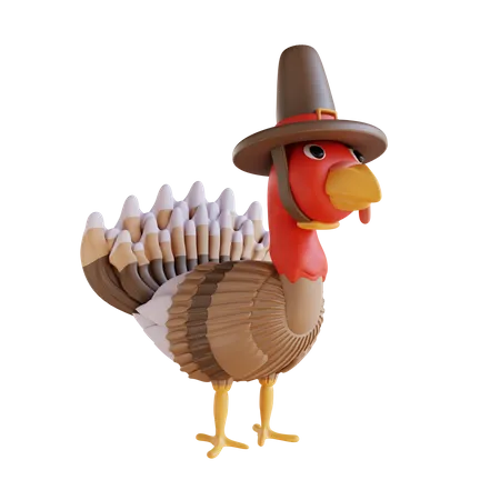 Turkey Bird And Hat  3D Icon