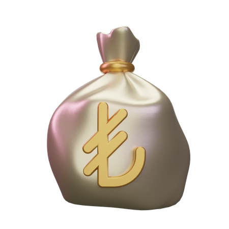 Turkish Lira Money Sack  3D Icon
