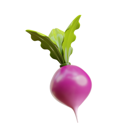 Turnip  3D Icon