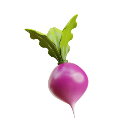 Turnip  3D Icon