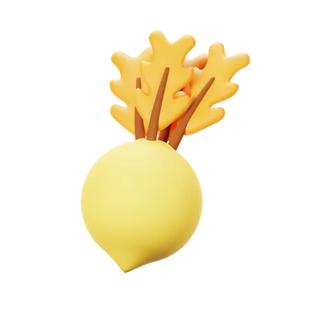 Turnip  3D Icon