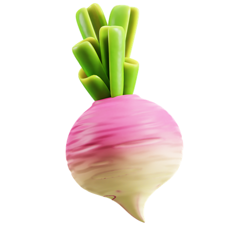 Turnip  3D Icon