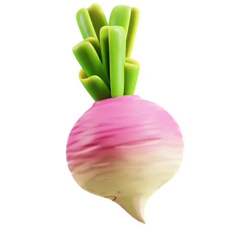 Turnip  3D Icon