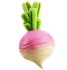 Turnip