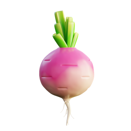 Turnip  3D Icon