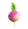 Turnip