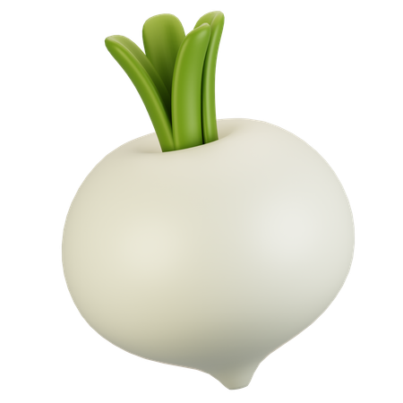 Turnip  3D Icon