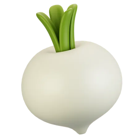 Turnip  3D Icon