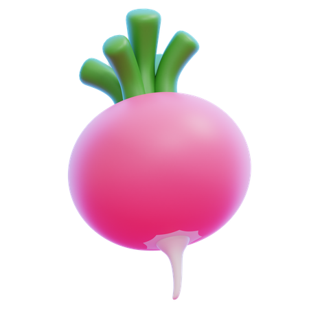 TURNIP  3D Icon