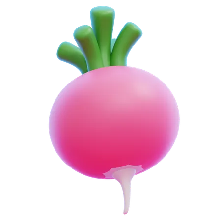 TURNIP  3D Icon