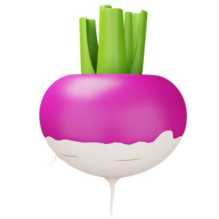 Turnip  3D Icon