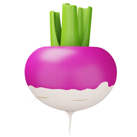 Turnip  3D Icon