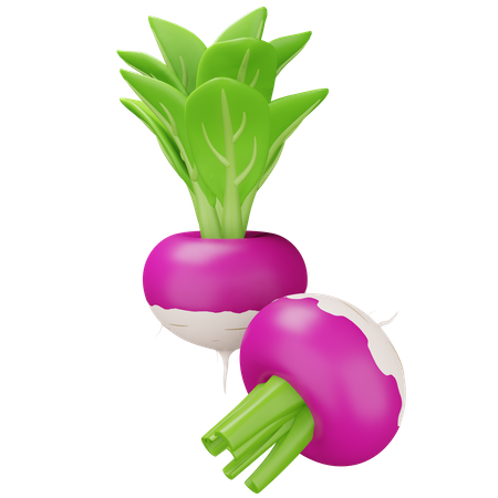 Turnip  3D Icon