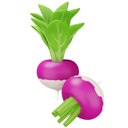 Turnip  3D Icon