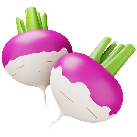 Turnip  3D Icon