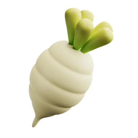 Turnip  3D Icon