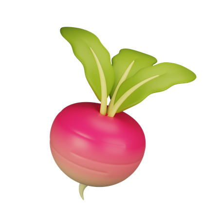 Turnip  3D Icon