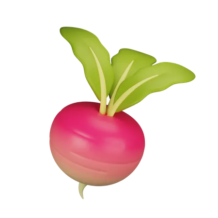 Turnip  3D Icon