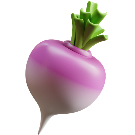 Turnip  3D Icon