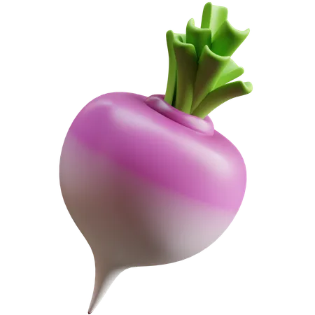 Turnip  3D Icon