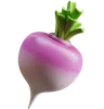 Turnip