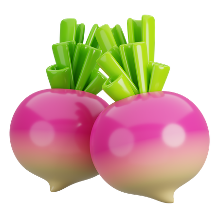 Turnip  3D Icon