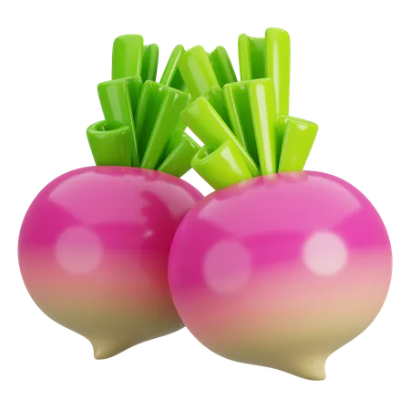 Turnip  3D Icon