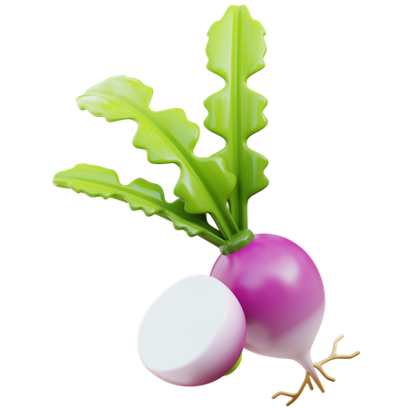 Turnip  3D Icon