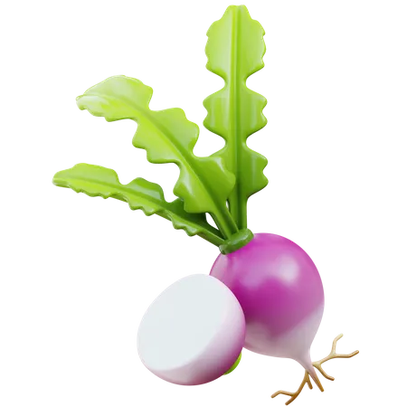 Turnip  3D Icon