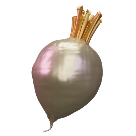 Turnip  3D Icon